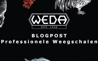 Blog: Waarom investeren in een professionele weegschaal?